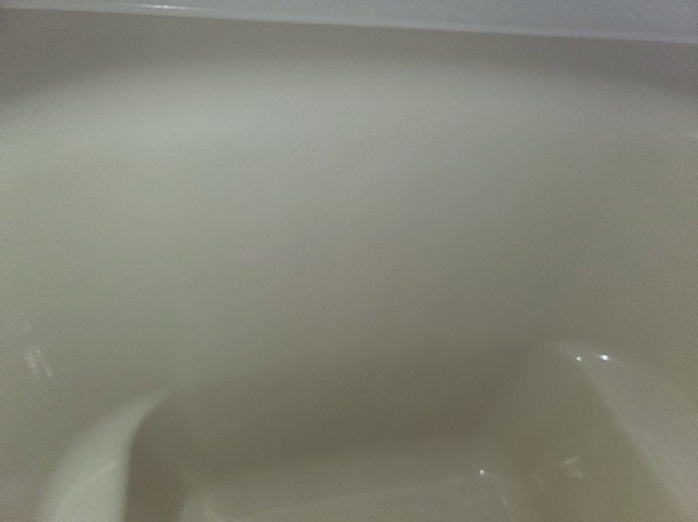 20250325_094741.jpg