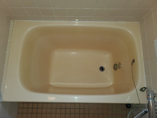 20250326_084553.jpg