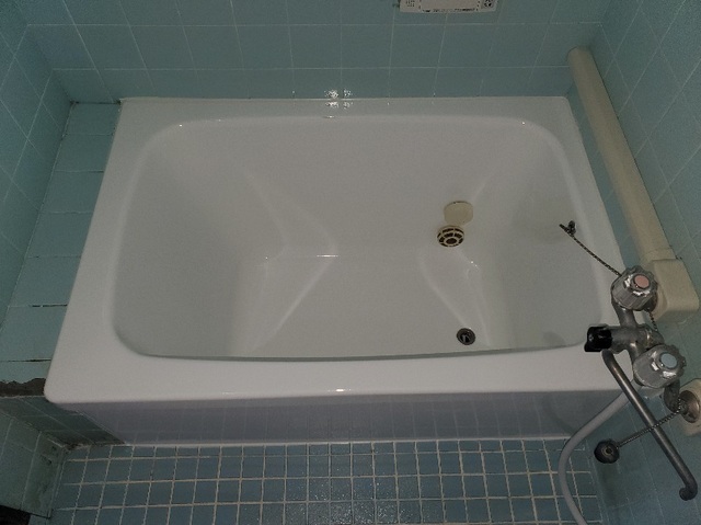 20250415_103551.jpg